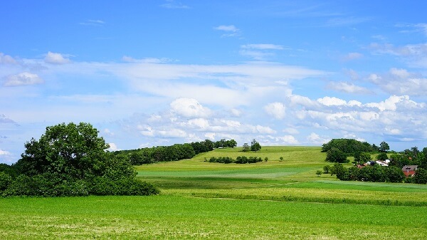 natural_landscape