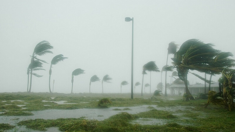 rain_wind