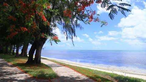 The Church of Almighty God