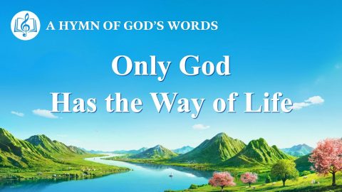 Only God Has the Way of Life