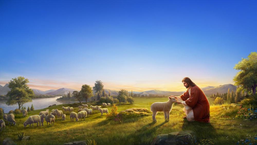 Parable of Lost Sheep