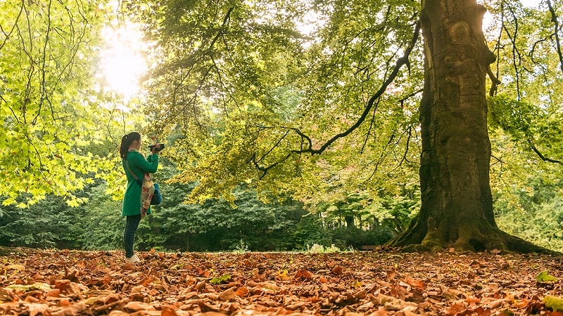 I Finally Accept God’s Kingdom Gospel After Refusing It Two Times