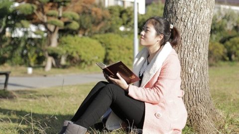 bright path,read God's word