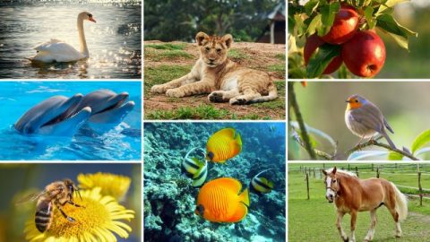 How Much of God’s Creating All Things Do We Really Know