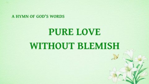Pure Love Without Blemish，praise songs