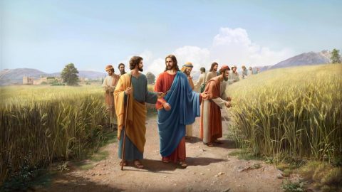 Why Did the Lord Jesus Work on the Sabbath Day?