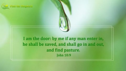 Bible Verses about Salvation