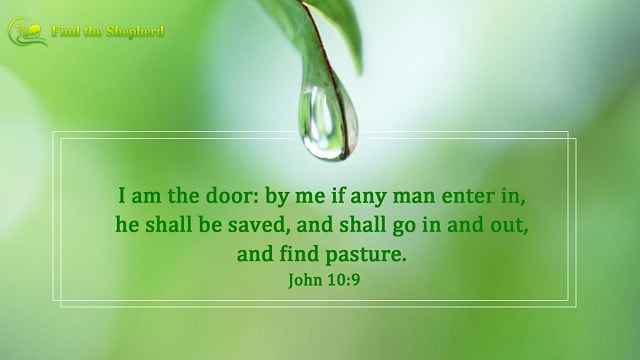 Bible Verses about Salvation - Find the Shepherd