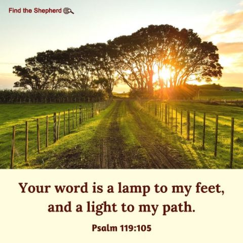 Your word is a lamp to my feet, and a light to my path. - Psalm 119:105