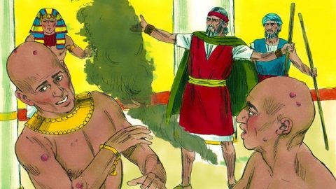 The Sixth Plague- Boils