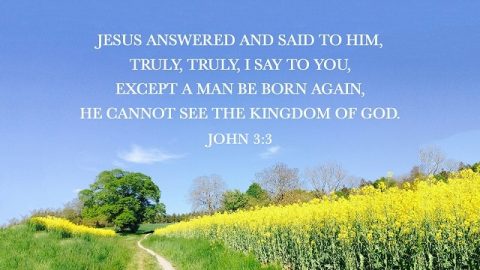 Bible Verses about Rebirth