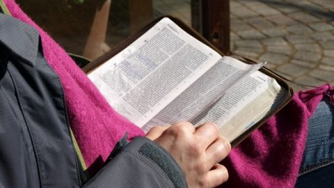 How to Discern the Wheat From the Tares