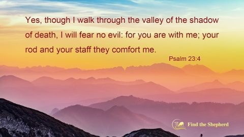15 Bible Verses About Looking Up to God