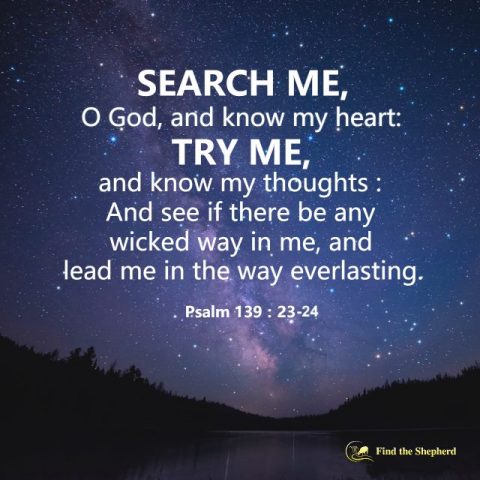 Accept God’s Observation