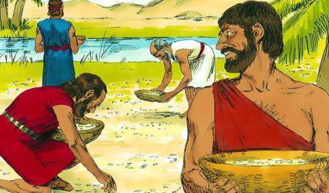 Exodus 16 - Manna and Quail from Heaven