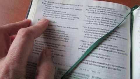 How Should We Treat Biblical prophecies