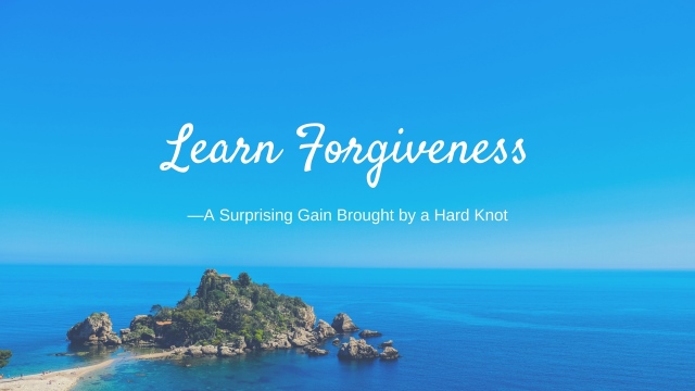 Learn Forgiveness: A Surprising Gain Brought by a Hard Knot - Spiritual Awakening