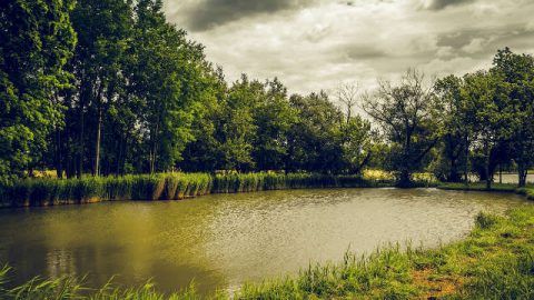 Salvation From Drowning