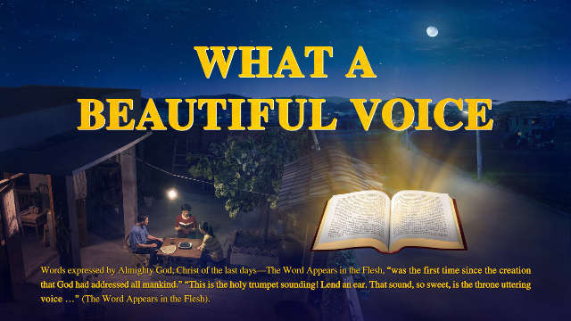 Review of What a Beautiful Voice - Seeking Is The Most Precious Thing