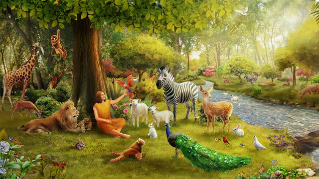 God’s Intention of Bestowing Wisdom Upon Man - Knowing God