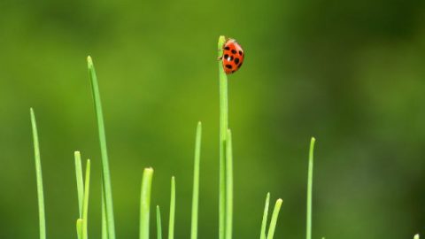 Drop Notions, Get Unexpected Gain