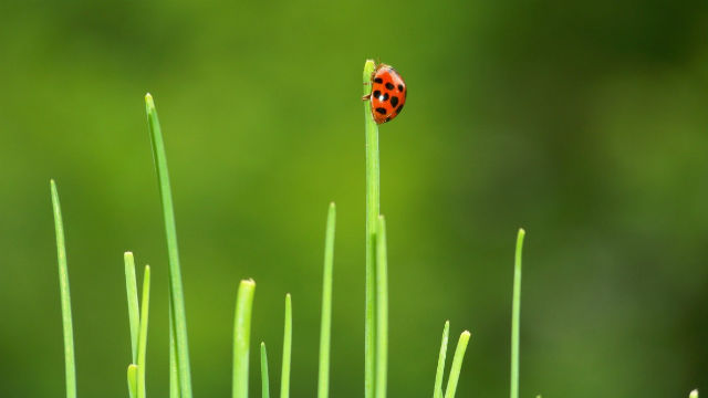 A Discussion on Faith: The Viewpoint “Anything Outside the Bible Is Heresy” Is Untenable