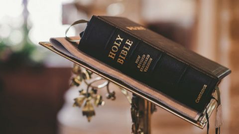 Everything in the Bible Is the Word of God. Is it true?