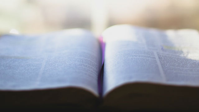 Bible