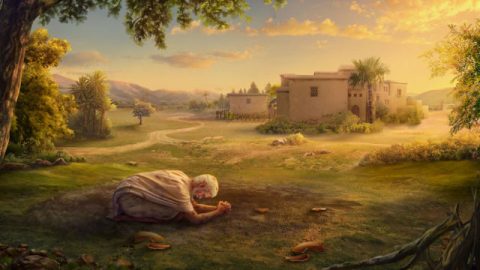 Job-s suffering,story of Job