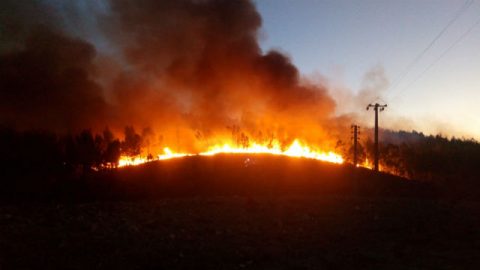 I Experienced God’s Wonderful Deeds in the Fire