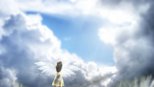 kingdom