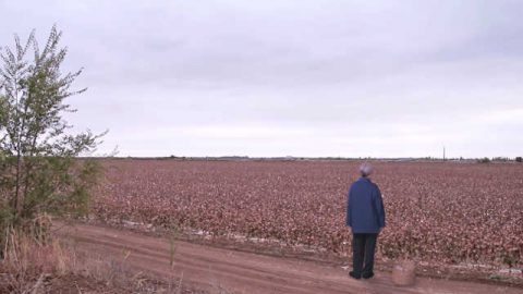 60-year-old Christian Runs Away With Paralyzed Husband-1