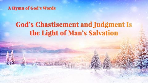the Light of Man's Salvation