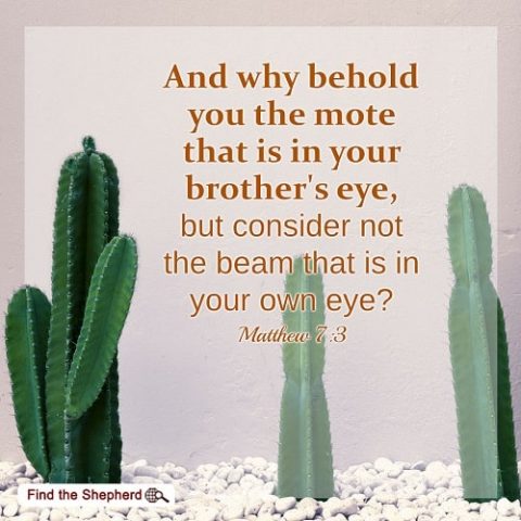 Do Not Blame Others but Reflect Upon Ourselves. A Commentary on Matthew 7-3