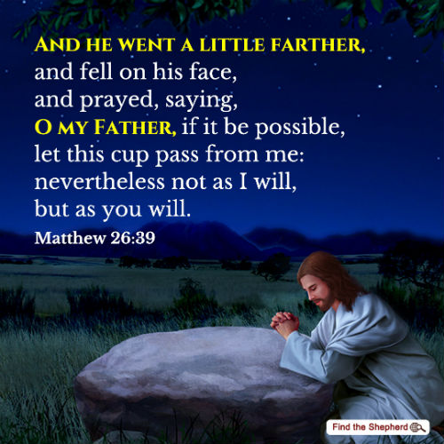 Matthew 26-39