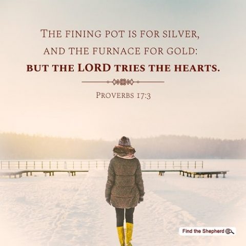 Proverbs 17-3,God's will