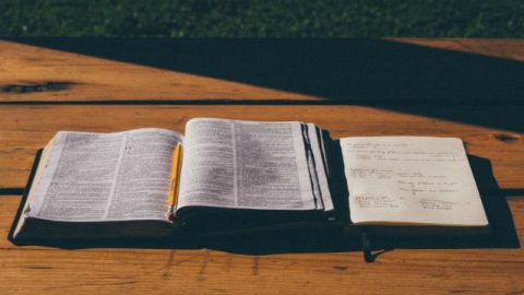 3 Ways to Discern the True Christ From False Christs