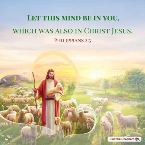 God's heart, Jesus, Lambs