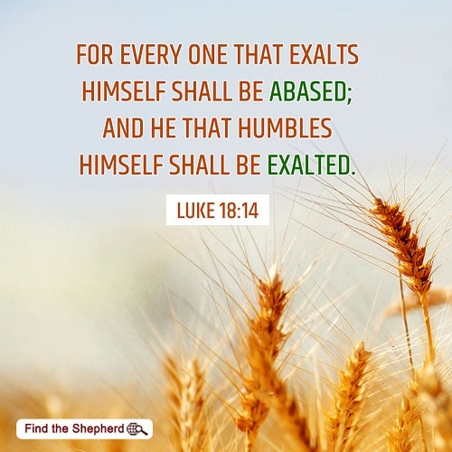 He Who Humbles Himself Shall Be Exalted. A Commentary on Luke 18:13-14