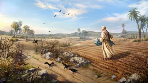 The Parable of the Sower