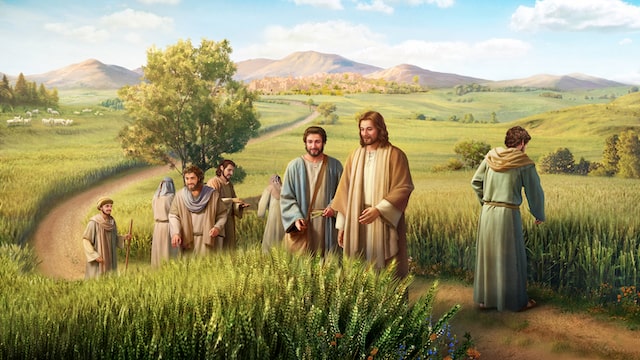 The Son of Man Is the Lord of the Sabbath