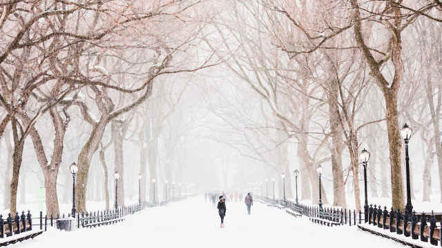 snow, people
