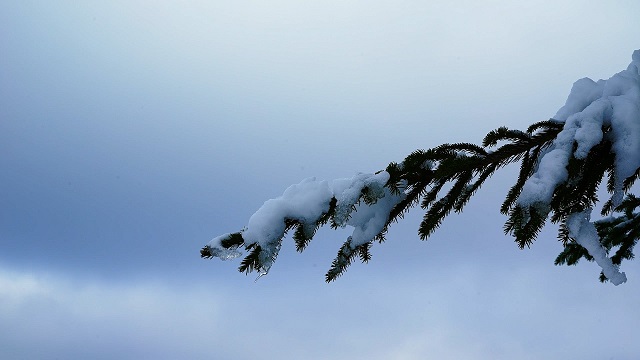 snow