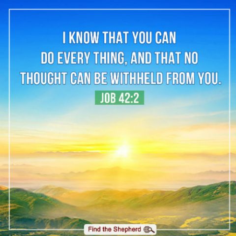Job 42:2, bible verse