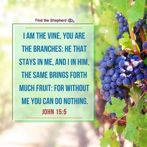 John 15:5,relationship with God