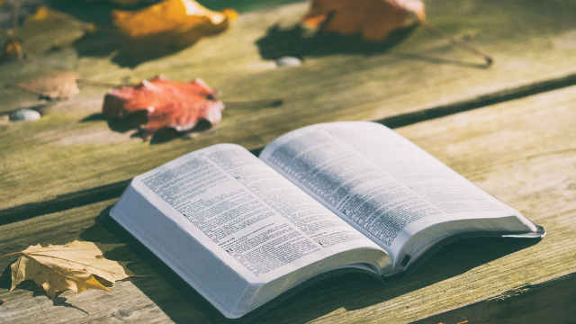 What Kind of Sacrifices and Expenditures Can Be Approved by the Lord?