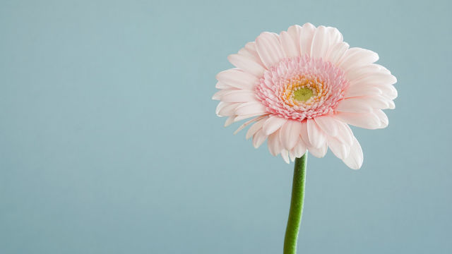 How to Keep Faith in God When Mother Got Terminal Lung Cancer