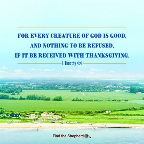1 Timothy 4:4,every creature of God