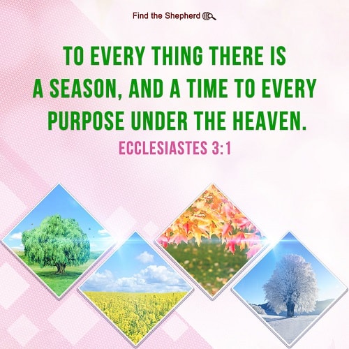 Ecclesiastes 3:1,four seasons
