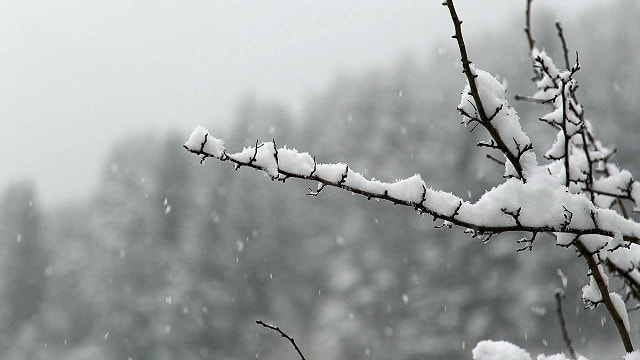 When My Husband Opposed My Faith in God...